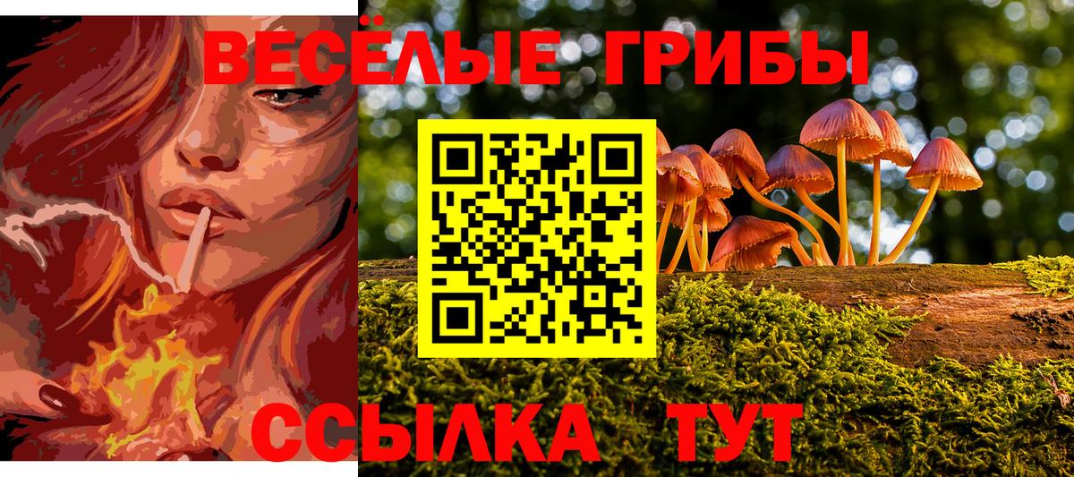 Галлюциногенные грибы MAGIC MUSHROOMS  Вход с VPN  Тихвин 